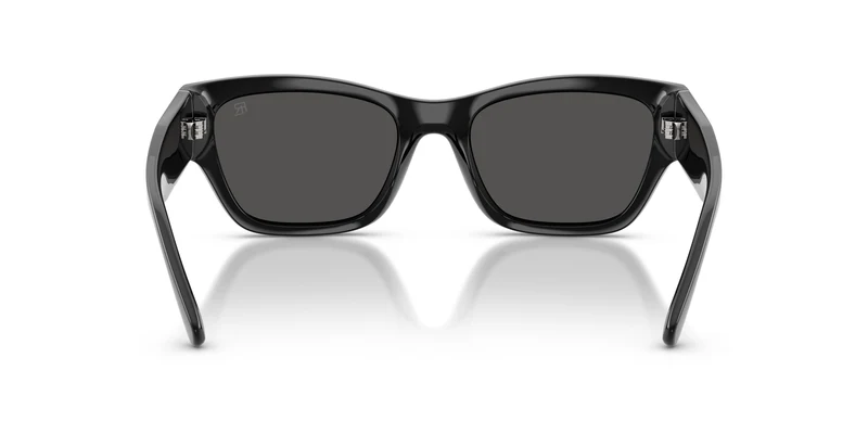 Ralph Lauren RL8240U 500187 55