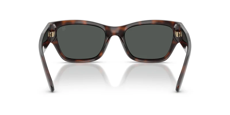 Ralph Lauren RL8240U 624187 55