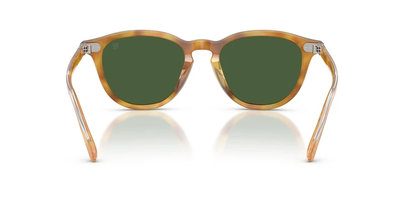 Ralph Lauren RL8241U 618571 53