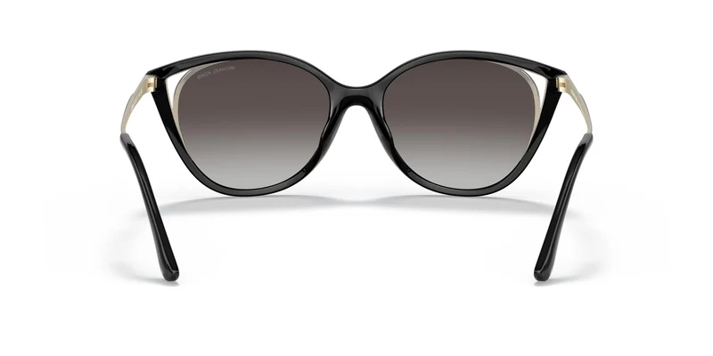 Michael Kors MK2152U ALEXANDRIA 30058G 55