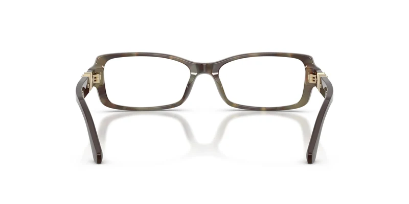 Michael Kors MK4201U BIG SUR 4061 55