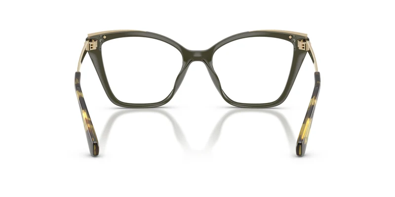 Michael Kors MK4205U GRINDELWALD 3922 53