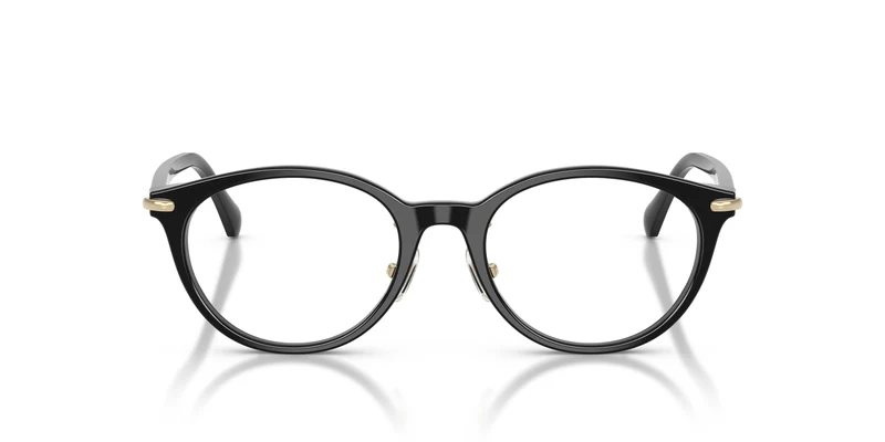 Michael Kors MK4198D DARJEELING 3005 50