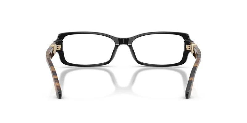 Michael Kors MK4201U BIG SUR 3005 55