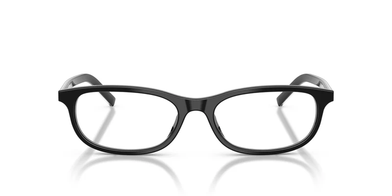 Prada PR D15VU 29O1O1 55