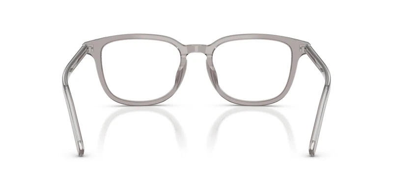 Prada PR D21VD 10J1O1 52