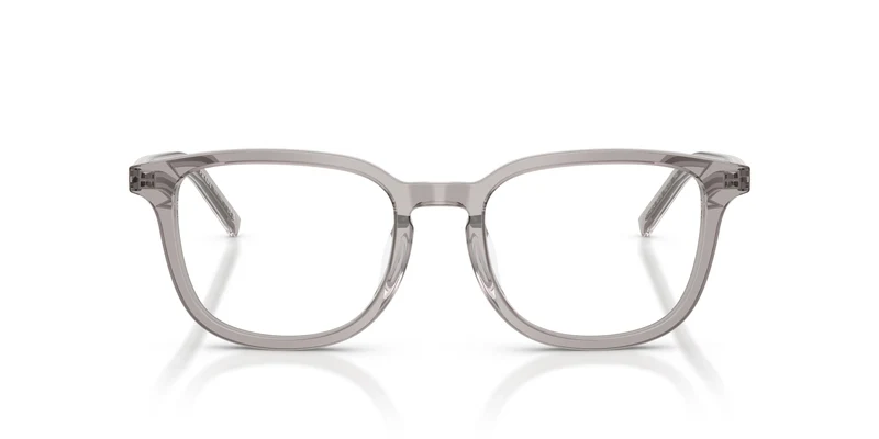 Prada PR D21VD 10J1O1 52