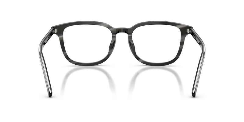 Prada PR D21VD 29O1O1 52