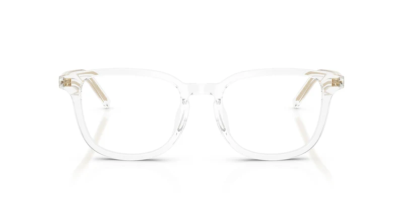 Prada PR D21VD 15Z1O1 52