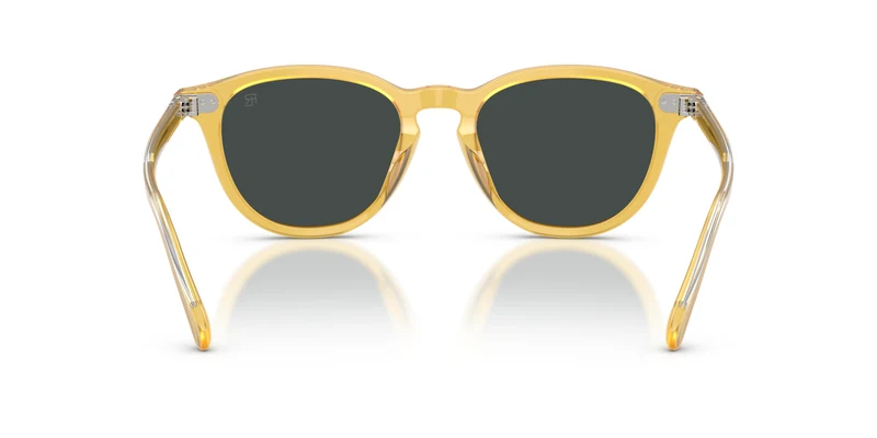 Ralph Lauren RL8241U 50053R 53