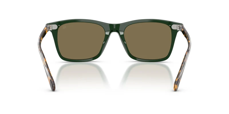 Ralph Lauren RL8242U 614073 54