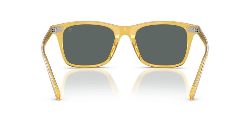 Ralph Lauren RL8242U 50053R 54