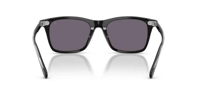 Ralph Lauren RL8242U 50011A 54