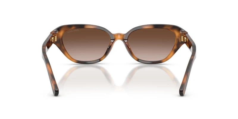 Ralph Lauren RL8244U 608913 53