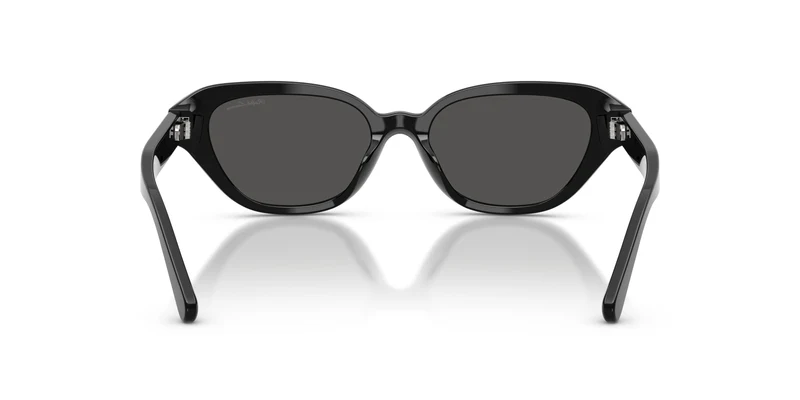 Ralph Lauren RL8244U 500187 53