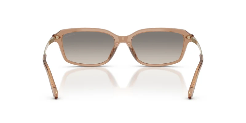 Ralph Lauren RL8245U 637708 55