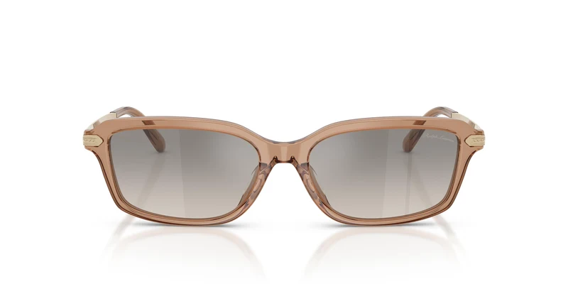 Ralph Lauren RL8245U 637708 55