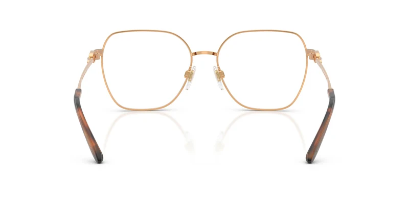 Ralph Lauren RL5138 9153 55