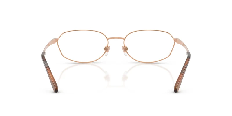 Ralph Lauren RL5140 9329 53