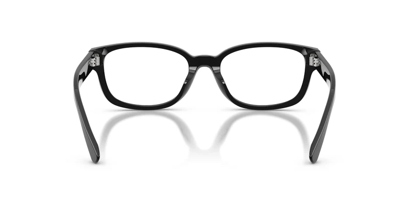 Ralph Lauren RL6261U 5001 52