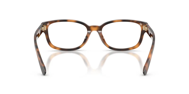 Ralph Lauren RL6261U 6089 52