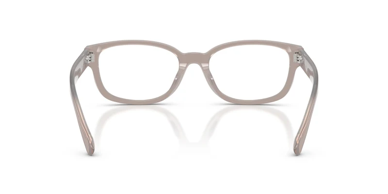 Ralph Lauren RL6261U 6349 54