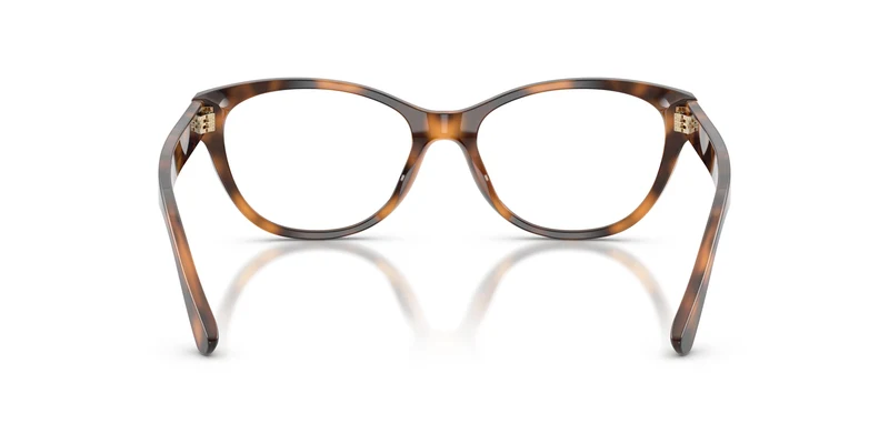 Ralph Lauren RL6262U 6089 53