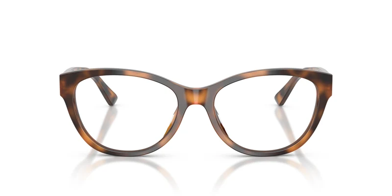 Ralph Lauren RL6262U 6089 53
