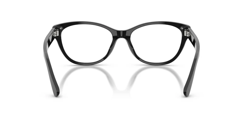 Ralph Lauren RL6262U 5001 53