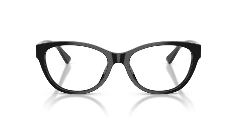 Ralph Lauren RL6262U 5001 55