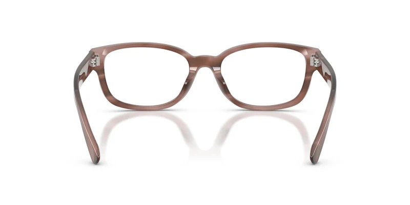 Ralph Lauren RL6261U 6350 54