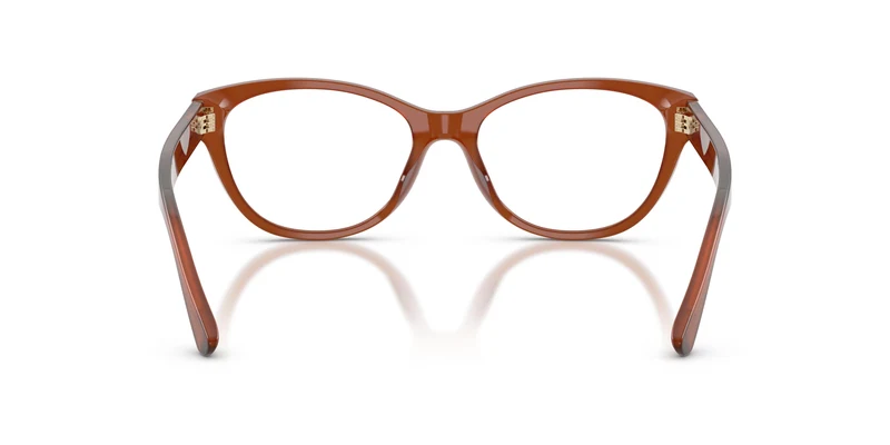 Ralph Lauren RL6262U 6306 53