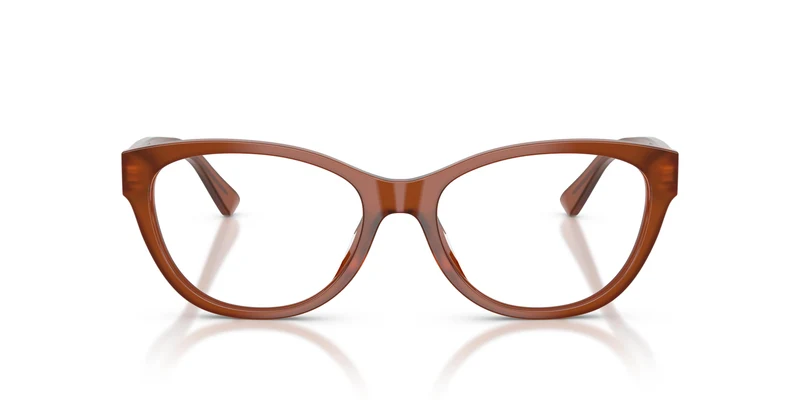 Ralph Lauren RL6262U 6306 53