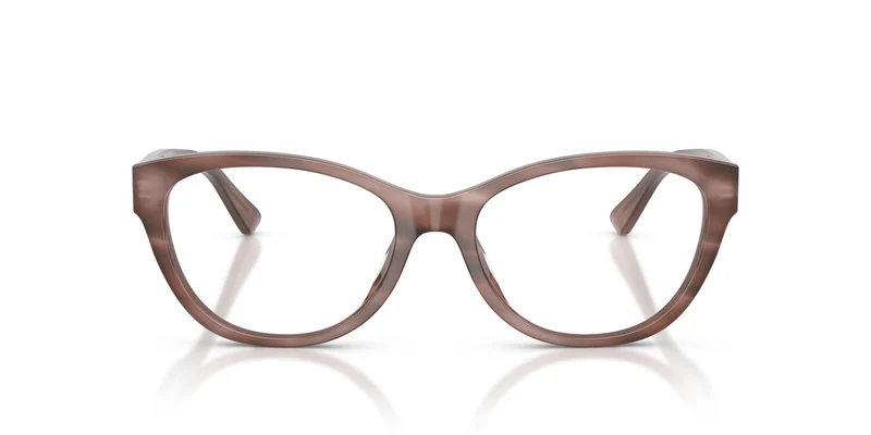 Ralph Lauren RL6262U 6350 55