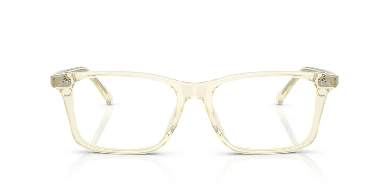 Ralph Lauren RL6264U 5034 54