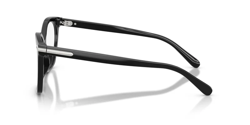 Ralph Lauren RL6266U 5001 55