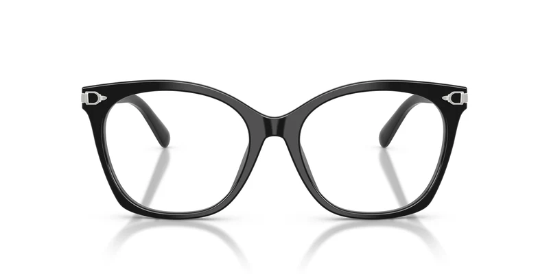 Ralph Lauren RL6266U 5001 55