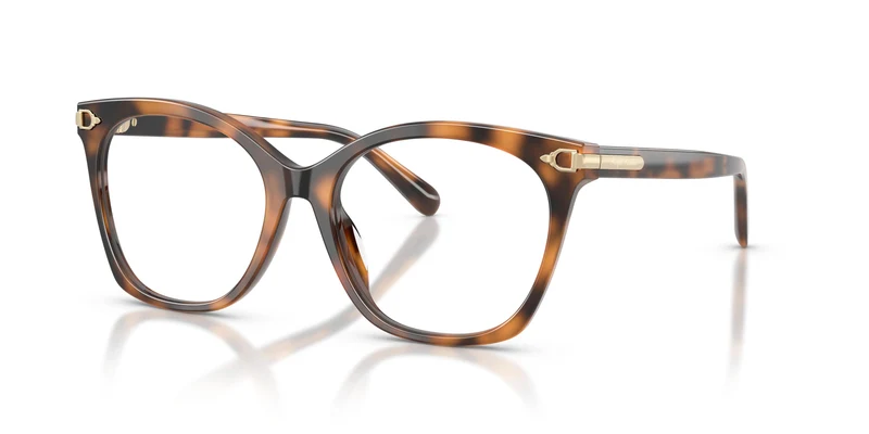 Ralph Lauren RL6266U 6089 55