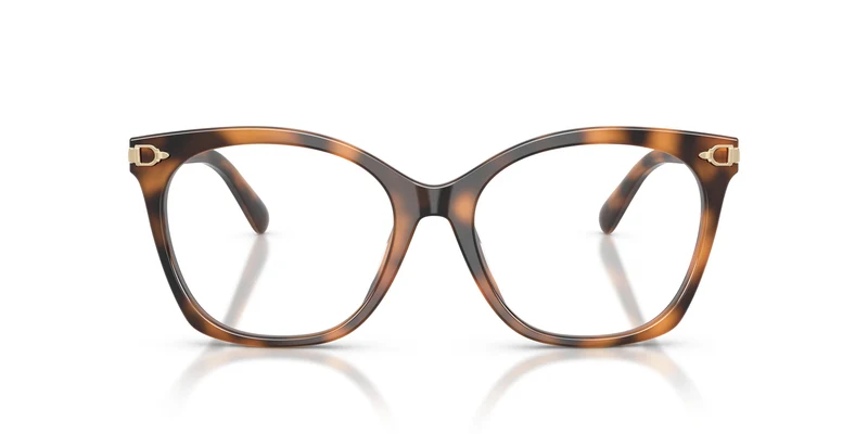 Ralph Lauren RL6266U 6089 53