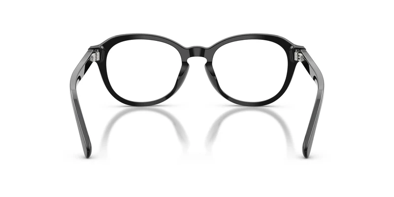 Ralph Lauren RL6267U 5001 50