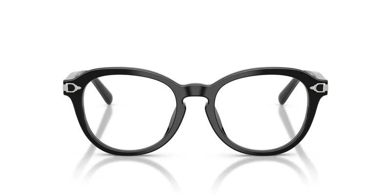 Ralph Lauren RL6267U 5001 50