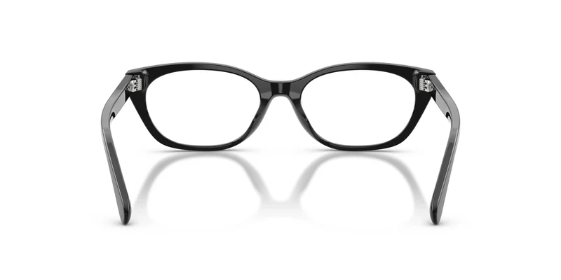 Ralph Lauren RL6268U 5001 53