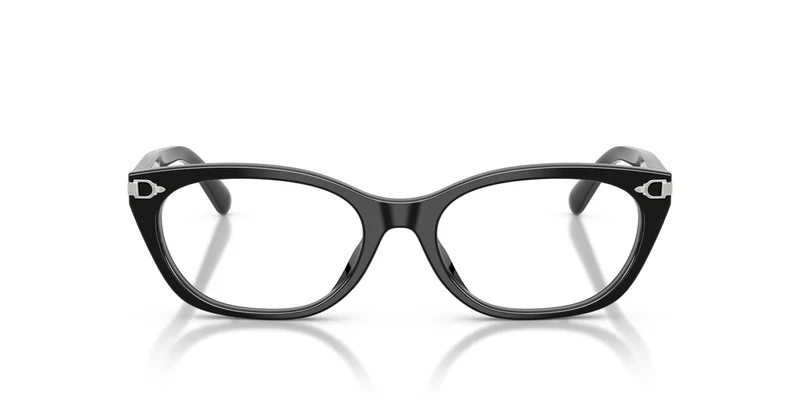 Ralph Lauren RL6268U 5001 51