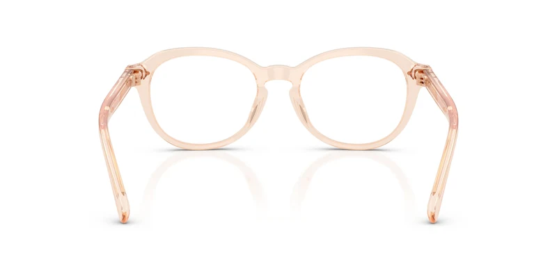 Ralph Lauren RL6267U 6385 50