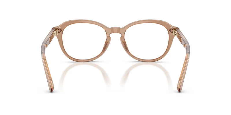 Ralph Lauren RL6267U 6377 50