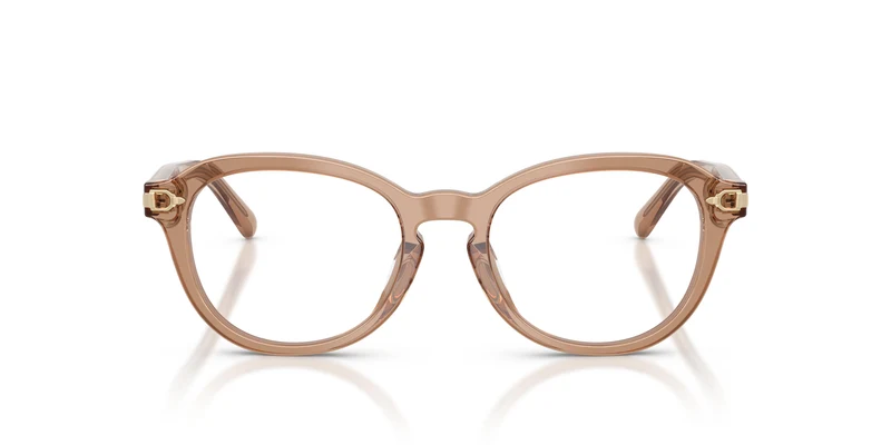 Ralph Lauren RL6267U 6377 50