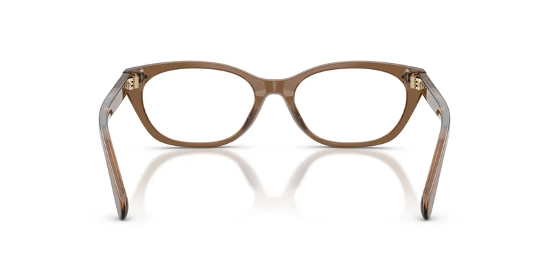 Ralph Lauren RL6268U 6377 53