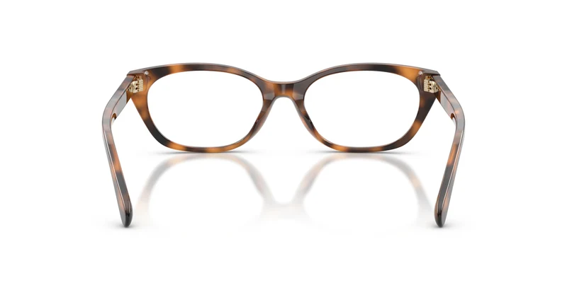 Ralph Lauren RL6268U 6089 53