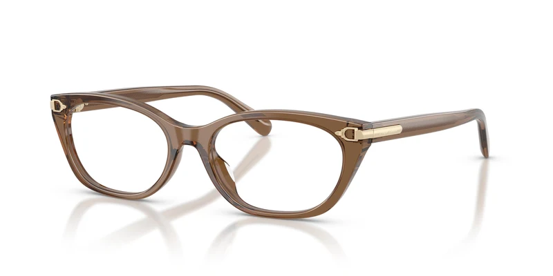 Ralph Lauren RL6268U 6377 51