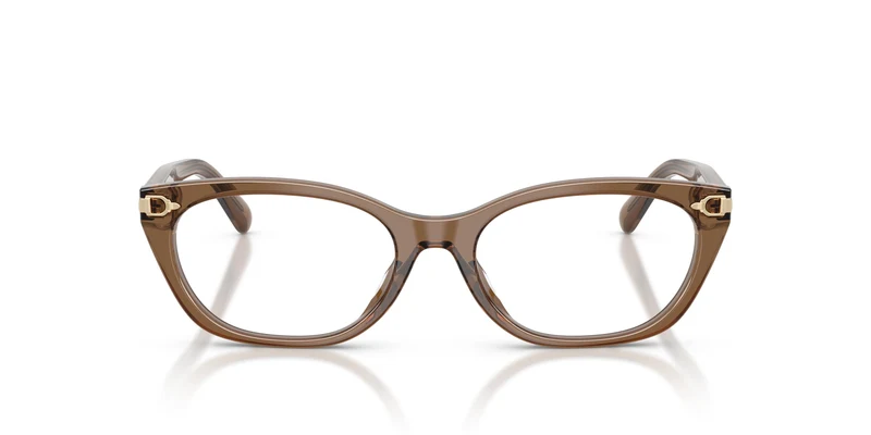 Ralph Lauren RL6268U 6377 51